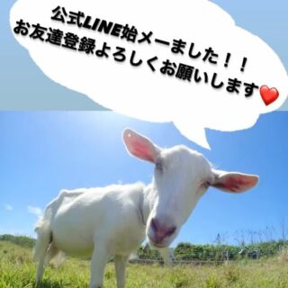 ご報告があります！！
この度、、、

公式 LINEを始めました！！🎉

お客様各位
日頃より、TPO株式会社、オートガレージGENTENをご愛顧いただきまして誠にありがとうございます🙇‍♀️
今後もより一層お客様との連絡をこまめにさせていただけるようにと、
公式LINEを立ち上げさせていただきました。

お車に関してのご質問からお困りごと、車検・点検のご予約やお車探しのご依頼まで、なんでもたまわっております！！🙆‍♀️
小さなことから何でもご連絡、ご相談くださいませ😄🙌🏻

またお友達追加は👇下記のURL👇から行えますのでLINEご利用の方はぜひ！！
お友達追加よろしくお願いします🙇‍♀️‼️

https://lin.ee/gMd3diN